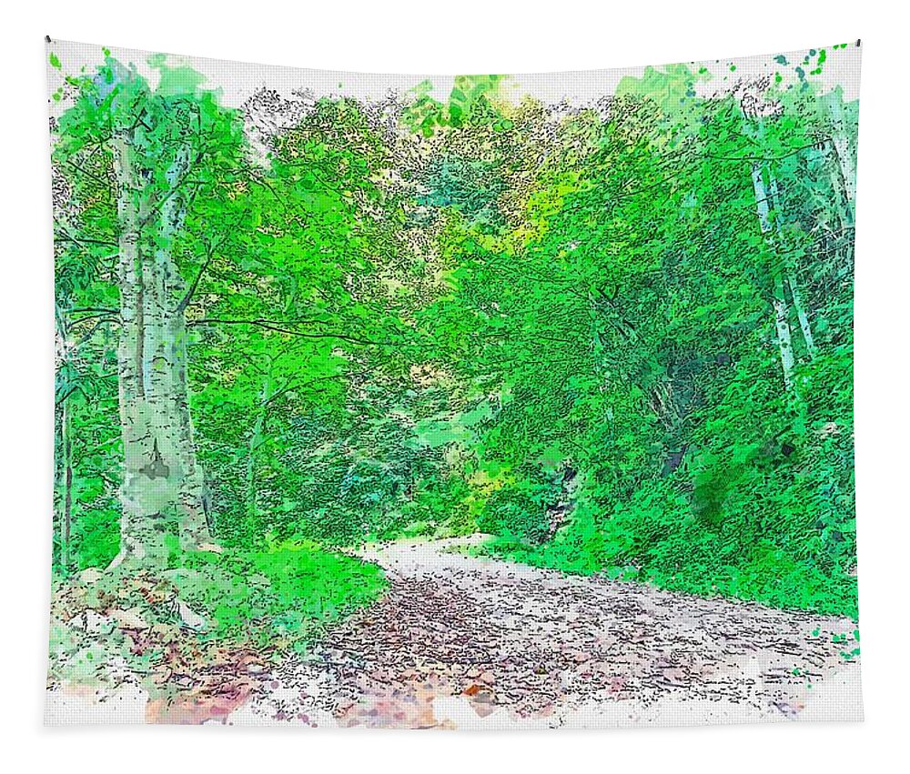 Nature Tapestry featuring the painting Hiking path - watercolor by Adam Asar by Celestial Images