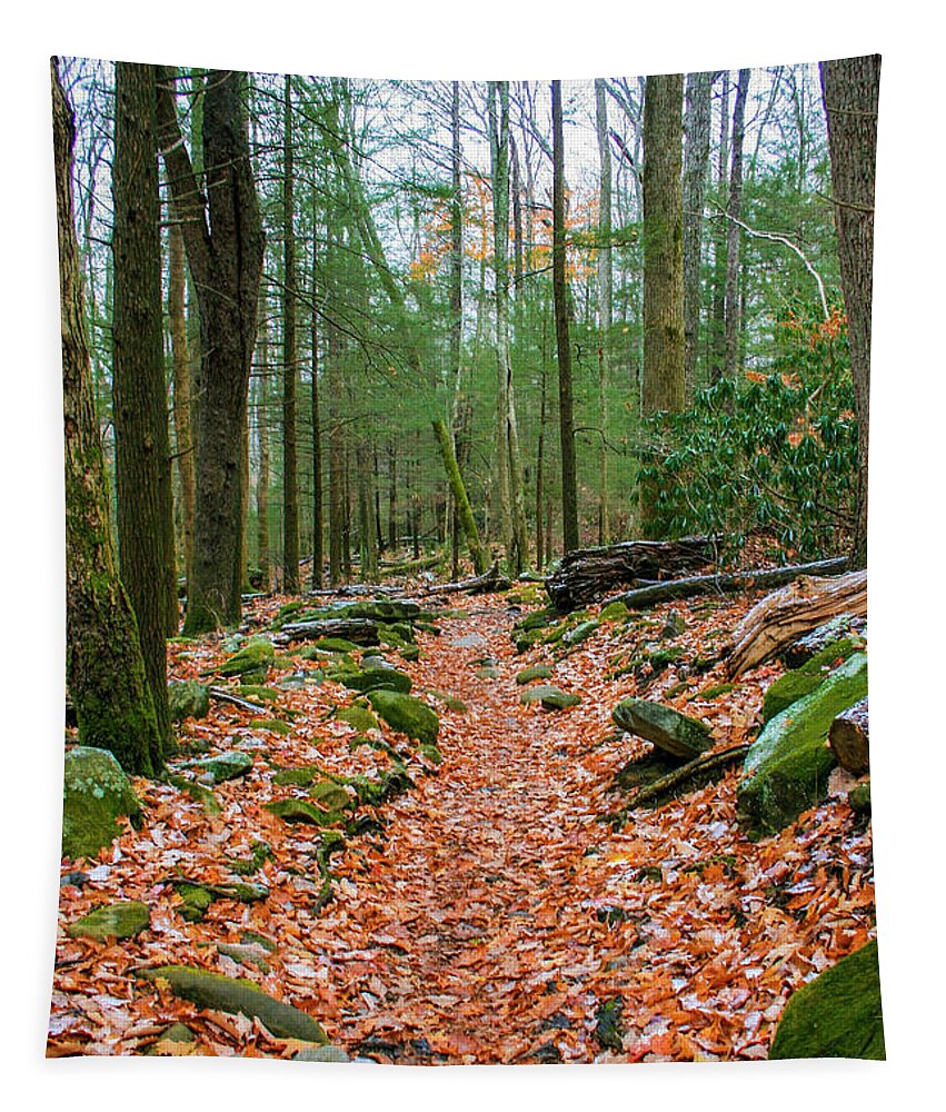Photo For Sale Tapestry featuring the photograph Hiking Trail in Autumn by Robert Wilder Jr
