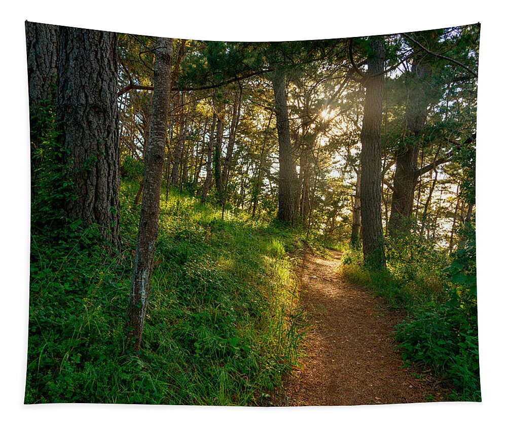 Hillside Path Tapestry featuring the photograph Hillside Path by Derek Dean