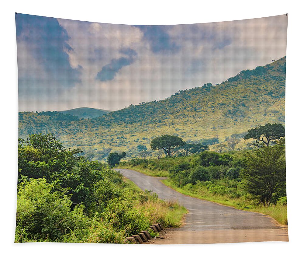 Safari Tapestry featuring the photograph Hluhluwe Misty Morning by Marcy Wielfaert