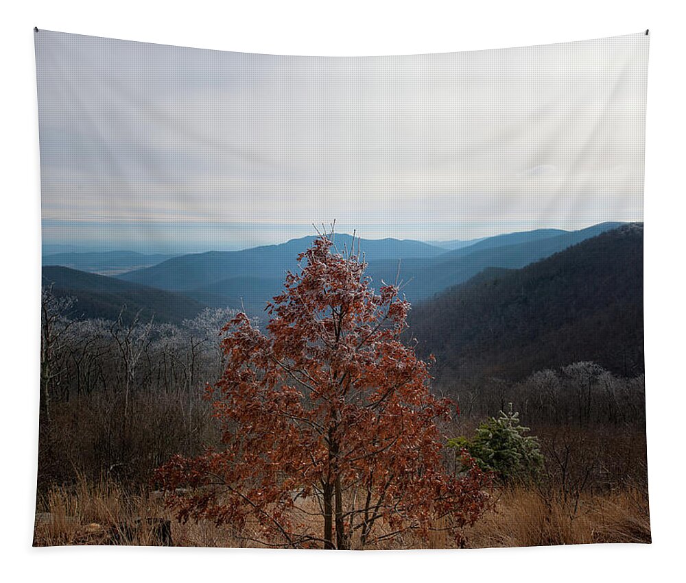 Blue Ridge Tapestry featuring the photograph Hoarfrost on Fall Leaves by Mark Duehmig