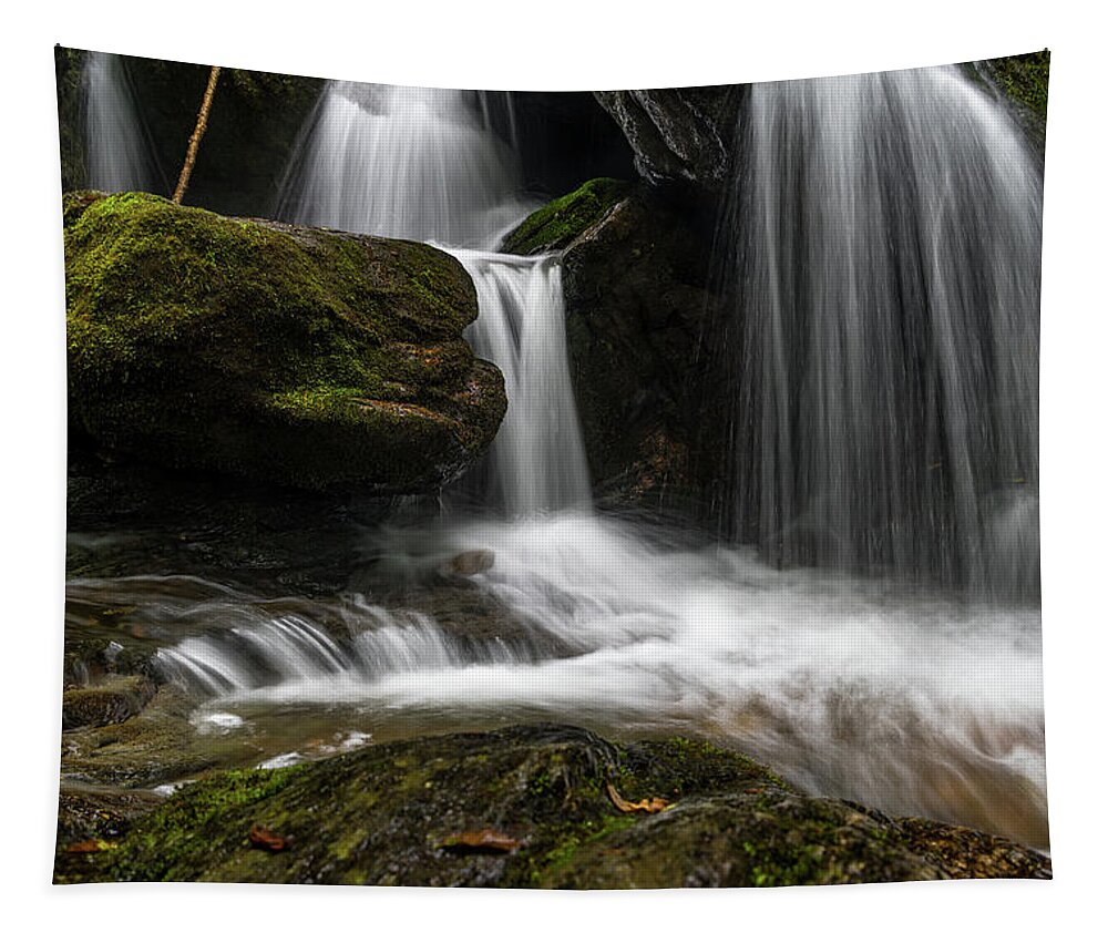 Waterfall Tapestry featuring the photograph Hogcamp Branch Falls IV by William Dickman