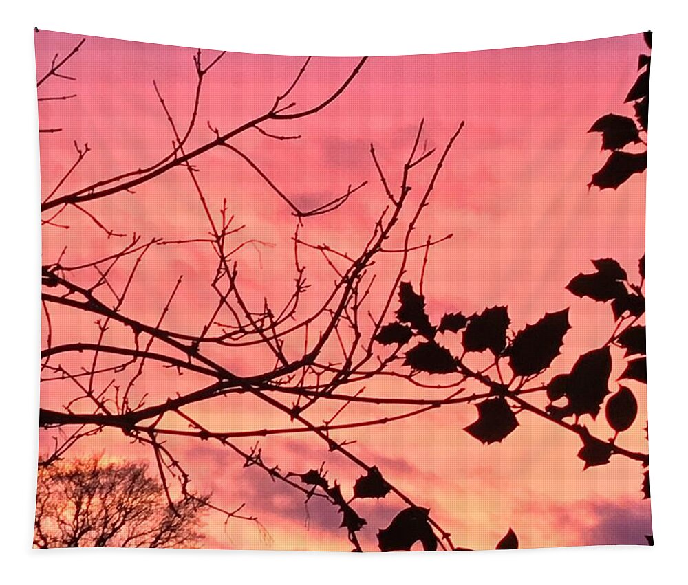 Winter Landscape Tapestry featuring the photograph Holly tree sunset 2 landscape by Itsonlythemoon