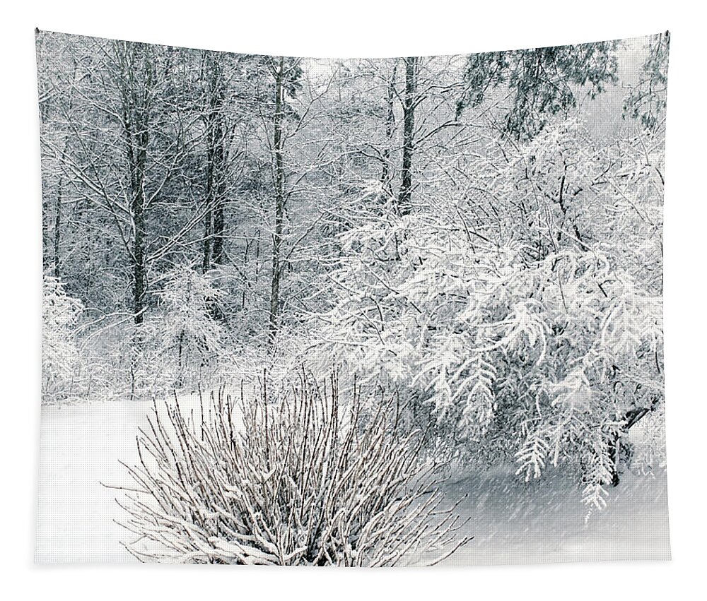 Winter Tapestry featuring the photograph Honeysuckle Snow by Kathi Mirto