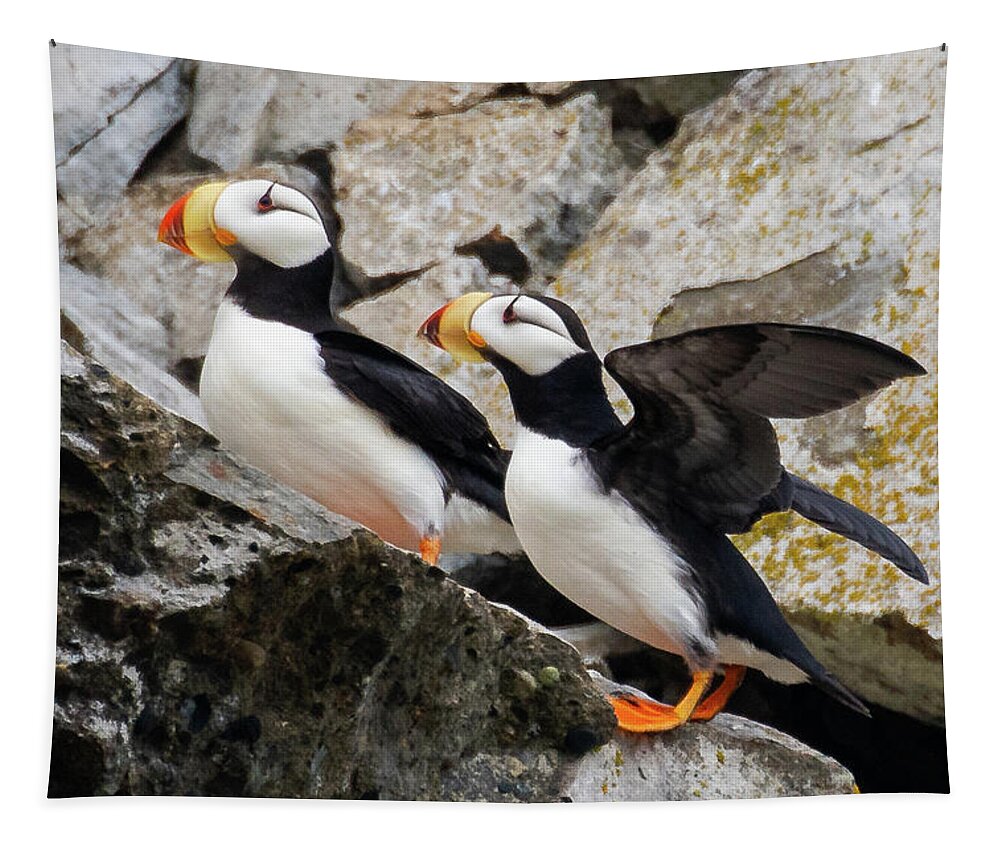 Puffin Tapestry featuring the photograph Horned Puffin Pair by Mark Hunter