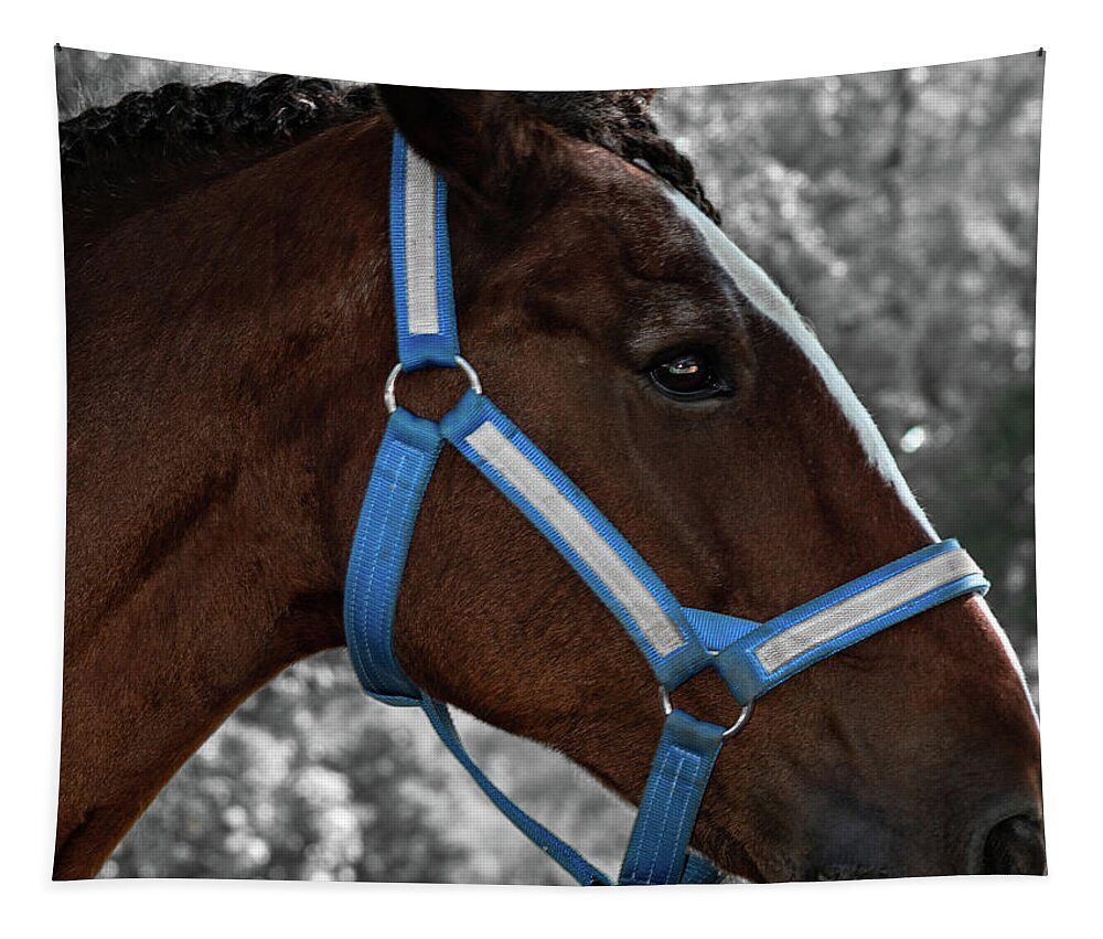 Horse Tapestry featuring the photograph Horse 31 by Phil S Addis