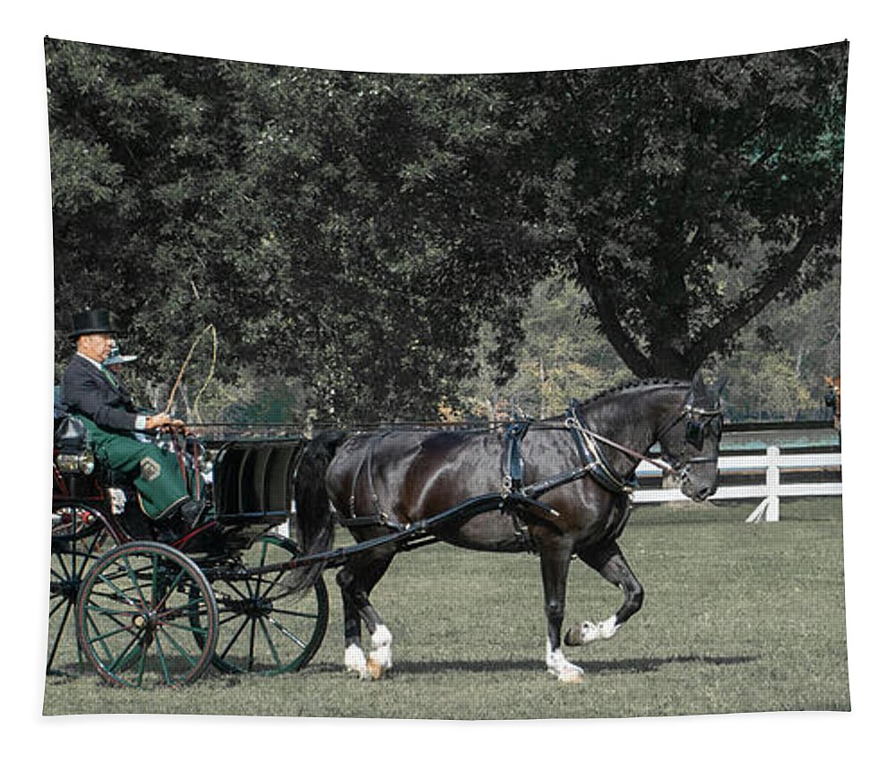 Horse Tapestry featuring the photograph Horse 34 by Phil S Addis