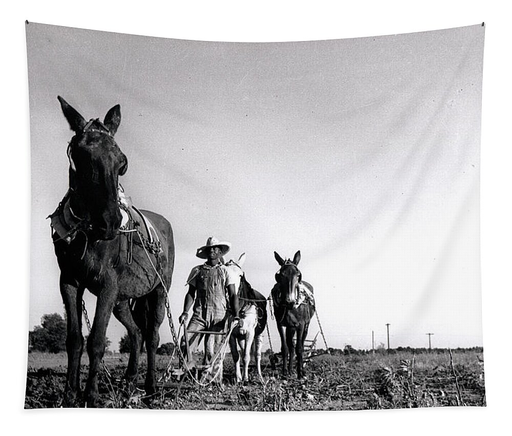 Old Photographs Tapestry featuring the photograph Horse plow by John Gholson