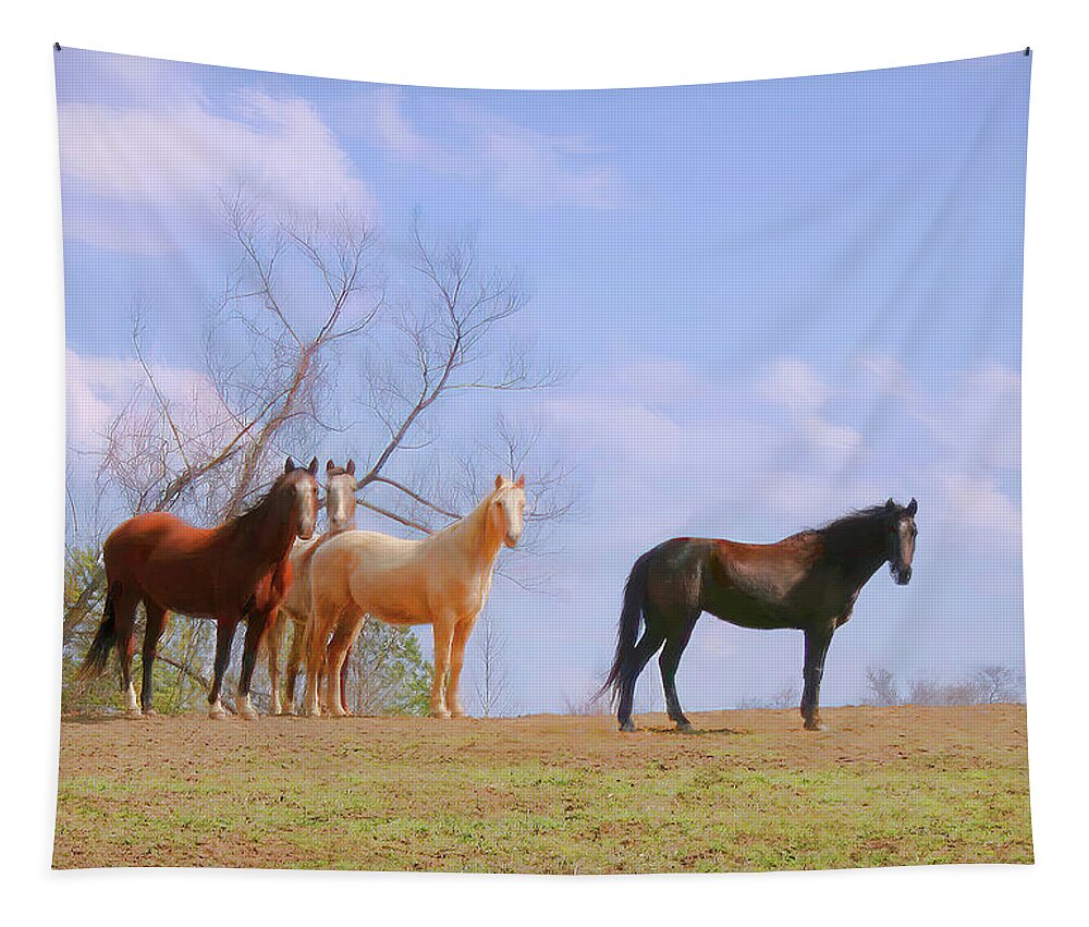 Horses Tapestry featuring the photograph Horses on the Hill by Bonnie Willis