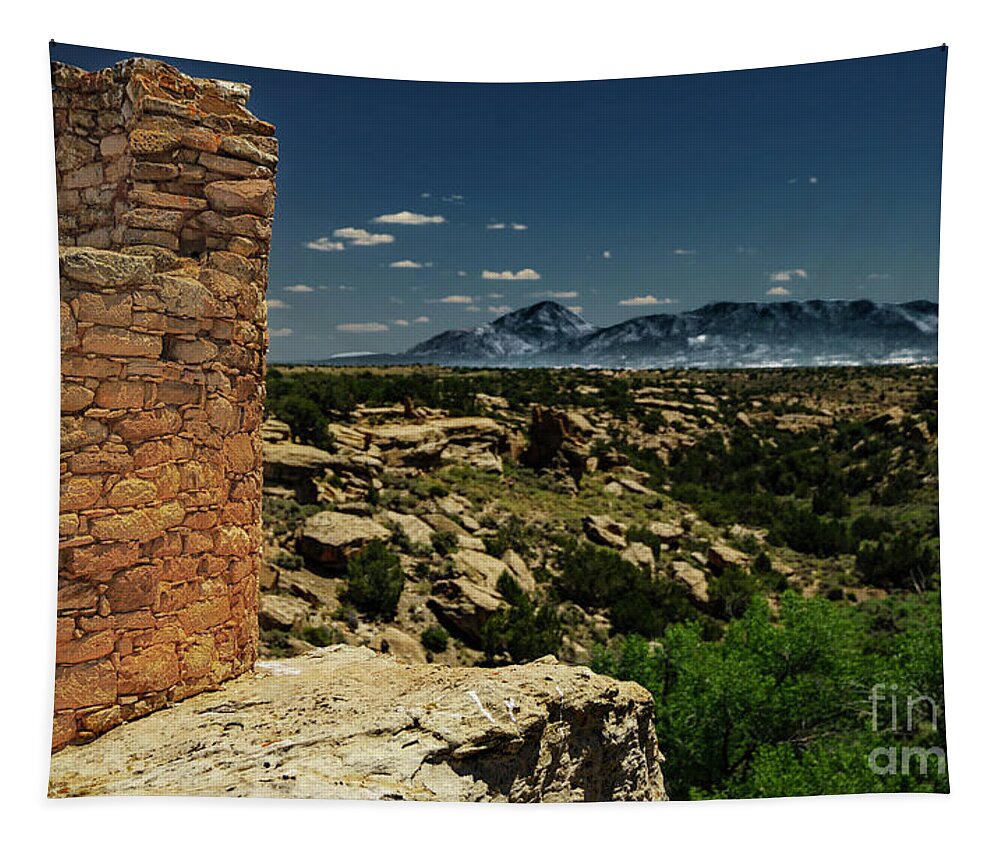 Formation Tapestry featuring the photograph Hovenweep Wall by Bill Frische