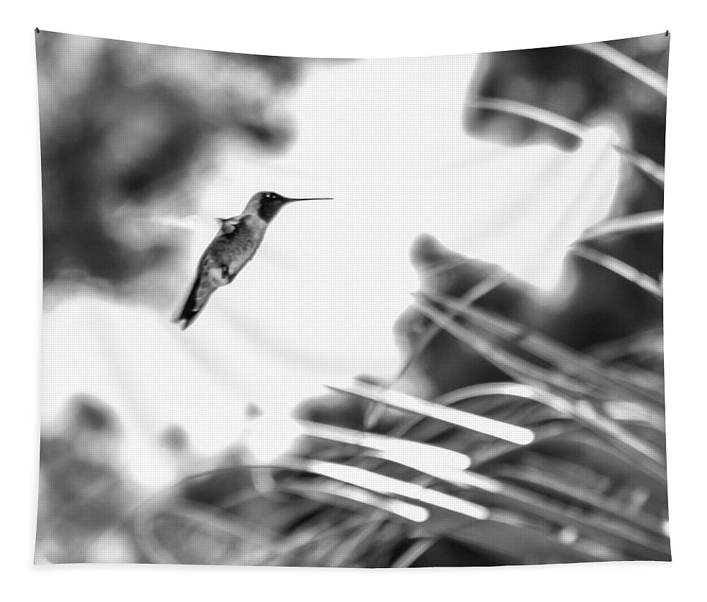Photograph Tapestry featuring the photograph Humminbird in Black and White by Kelly Thackeray