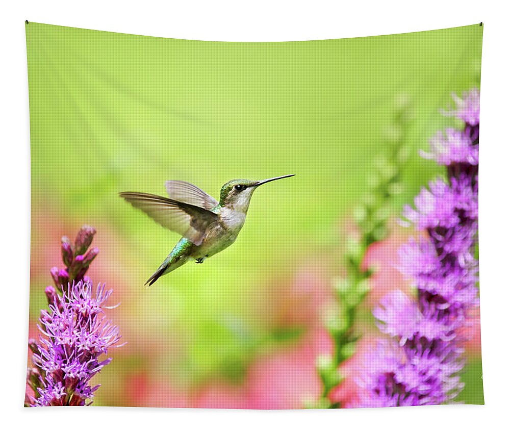 Hummingbird Tapestry featuring the photograph Hummingbird In Paradise by Christina Rollo