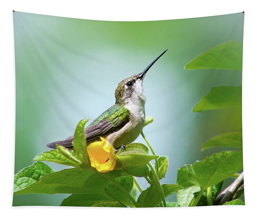 Hummingbirds Tapestry featuring the photograph Hummingbird Sitting Pretty by Christina Rollo