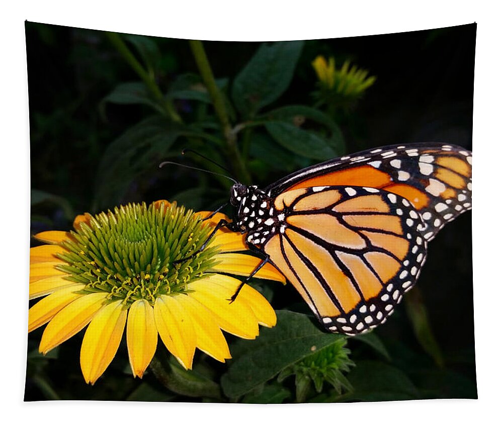 Monarch Tapestry featuring the photograph Hungry Monarch Butterfly by Ally White