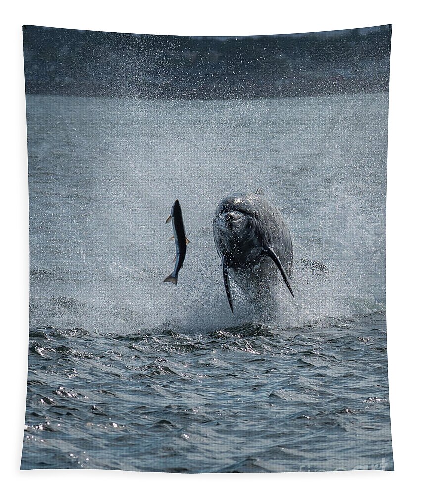 Dolphin Tapestry featuring the photograph Hunting Bottlenose Dolphin by Andreas Berthold