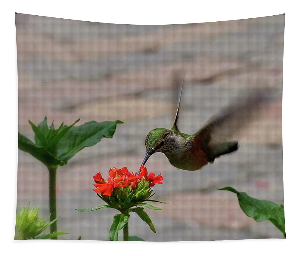 The Ruby-throated Hummingbird Tapestry featuring the photograph Hunting by Lyuba Filatova