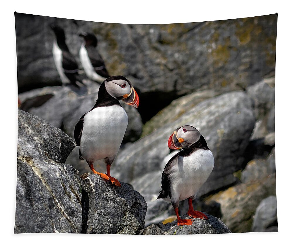 Atlantic Puffin Tapestry featuring the photograph I Love You by C Renee Martin