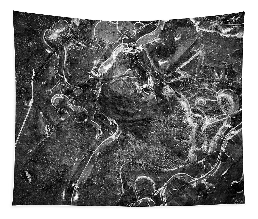 Ice Tapestry featuring the photograph Ice Abstraction I BW by David Gordon