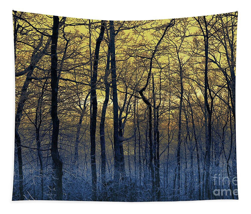 Woodland Tapestry featuring the photograph Ice Cold by Mike Eingle