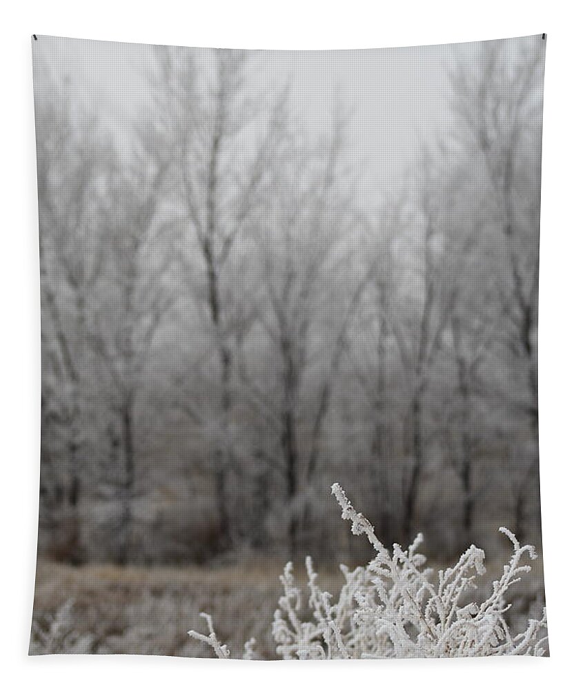 Freezing Fog Tapestry featuring the photograph Ice Fog Up Close in La Junta Colorado by M E