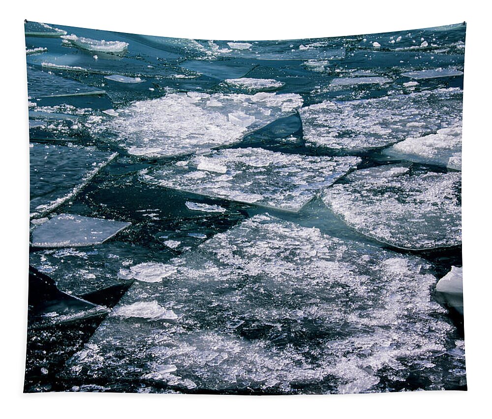 Ice Tapestry featuring the photograph Ice by Stuart Manning