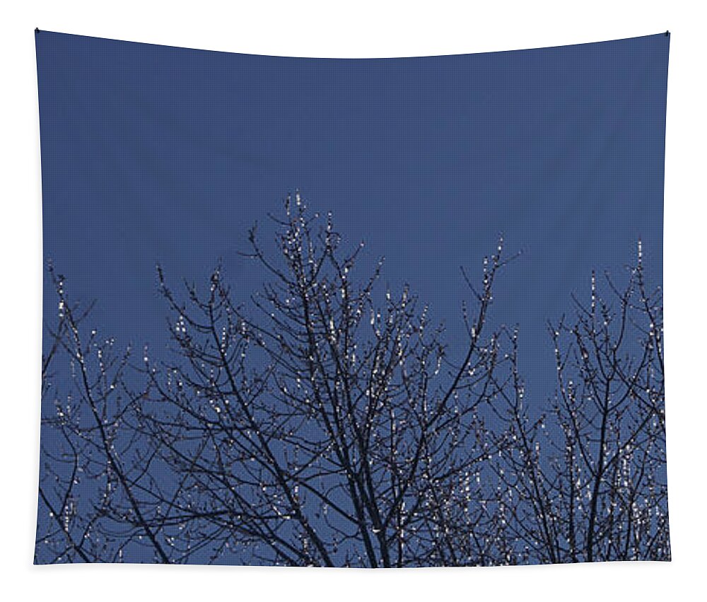 Nature Tapestry featuring the photograph Ice Tree by Robert E Alter Reflections of Infinity