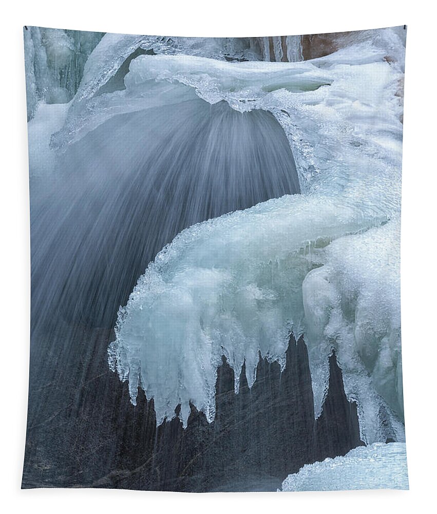 Ice Tapestry featuring the photograph Iced by Darren White