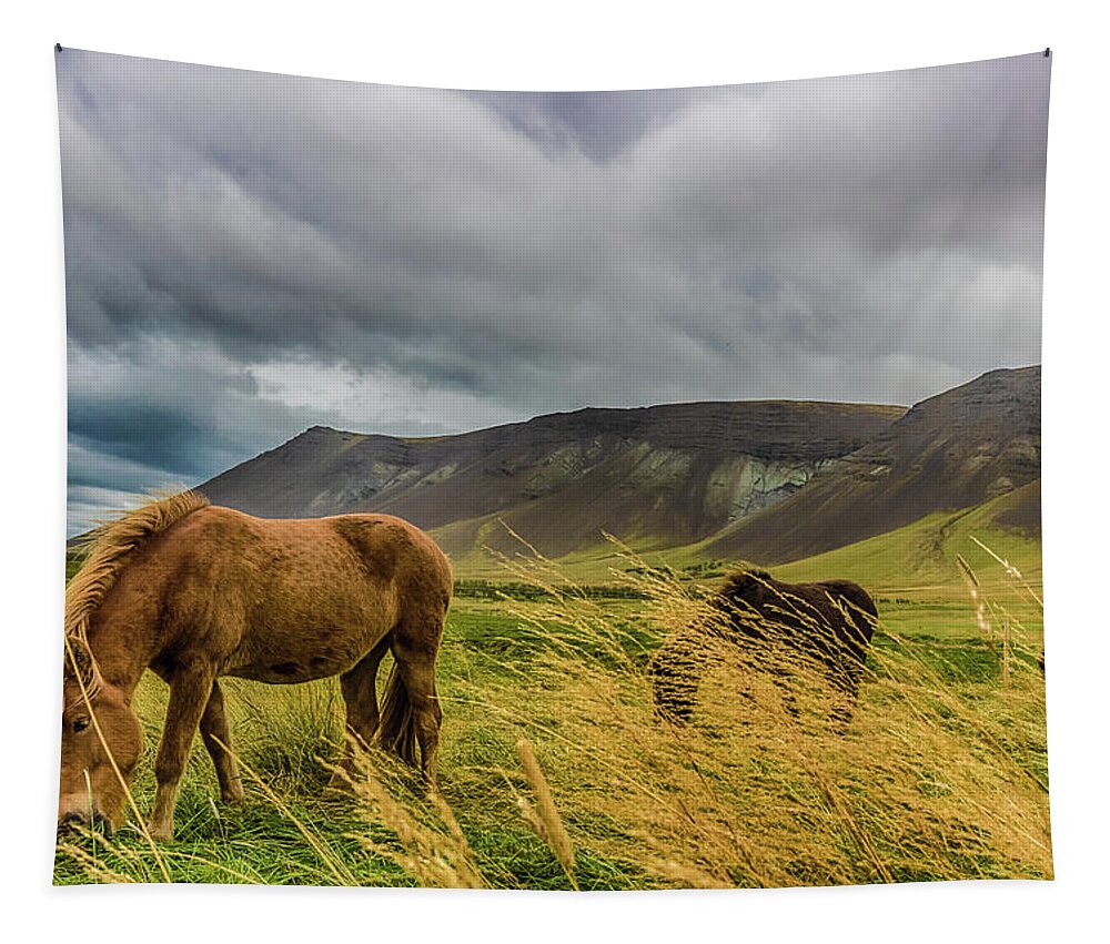 Borganes Tapestry featuring the photograph Iceland Ponies by Rich Isaacman