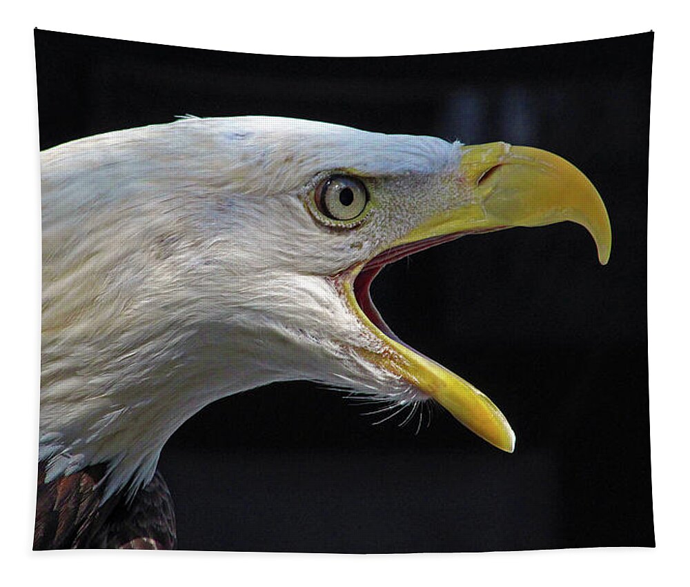Bald Eagle Tapestry featuring the photograph If You Want to Be Free, Be Free by Michael Allard