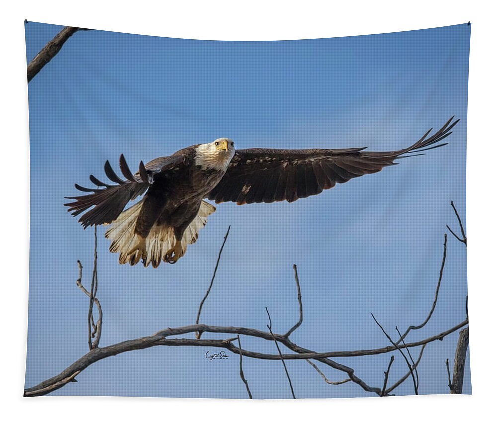 Eagle Tapestry featuring the photograph I'm coming for you by Crystal Socha