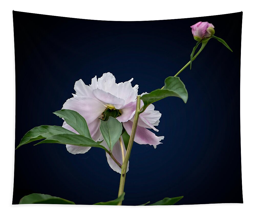 Still Life Tapestry featuring the photograph In Nature's Way by Maggie Terlecki