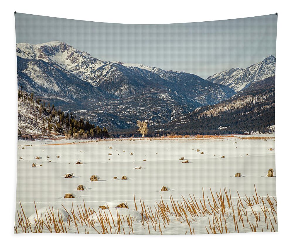 Snowshoe Tapestry featuring the photograph In the Middle by Jen Manganello
