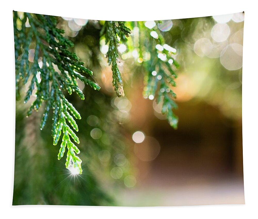 Pine Needles Tapestry featuring the photograph In the Pines After the Rain by Mary Ann Artz