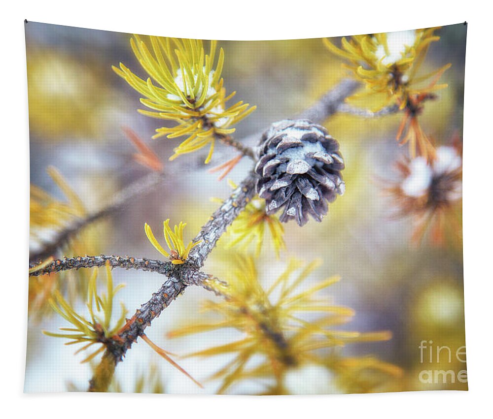 Pine Tree Tapestry featuring the photograph In the Pines by Becqi Sherman