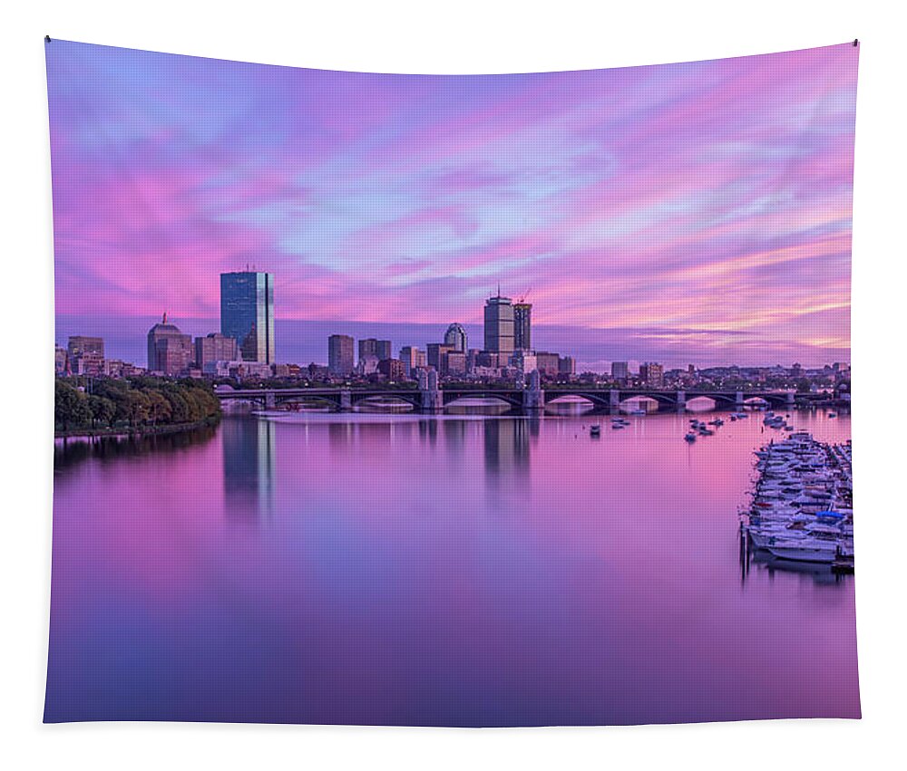 Boston Tapestry featuring the photograph In The Pink by Rob Davies