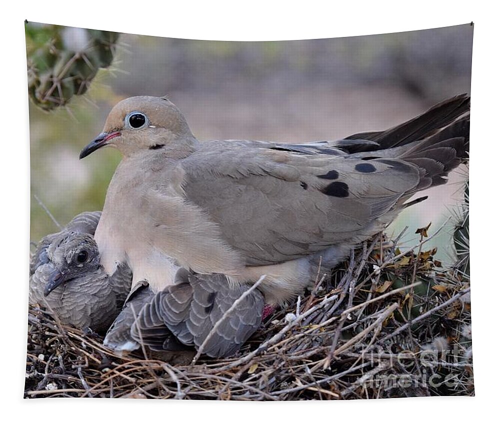 Mourning Dove Tapestry featuring the photograph In Their Mama's Care by Janet Marie