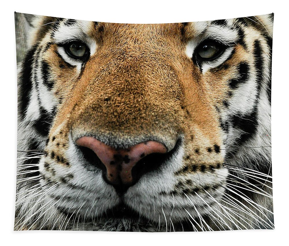 Tiger Tapestry featuring the photograph In Your Face Tiger by Ginger Stein