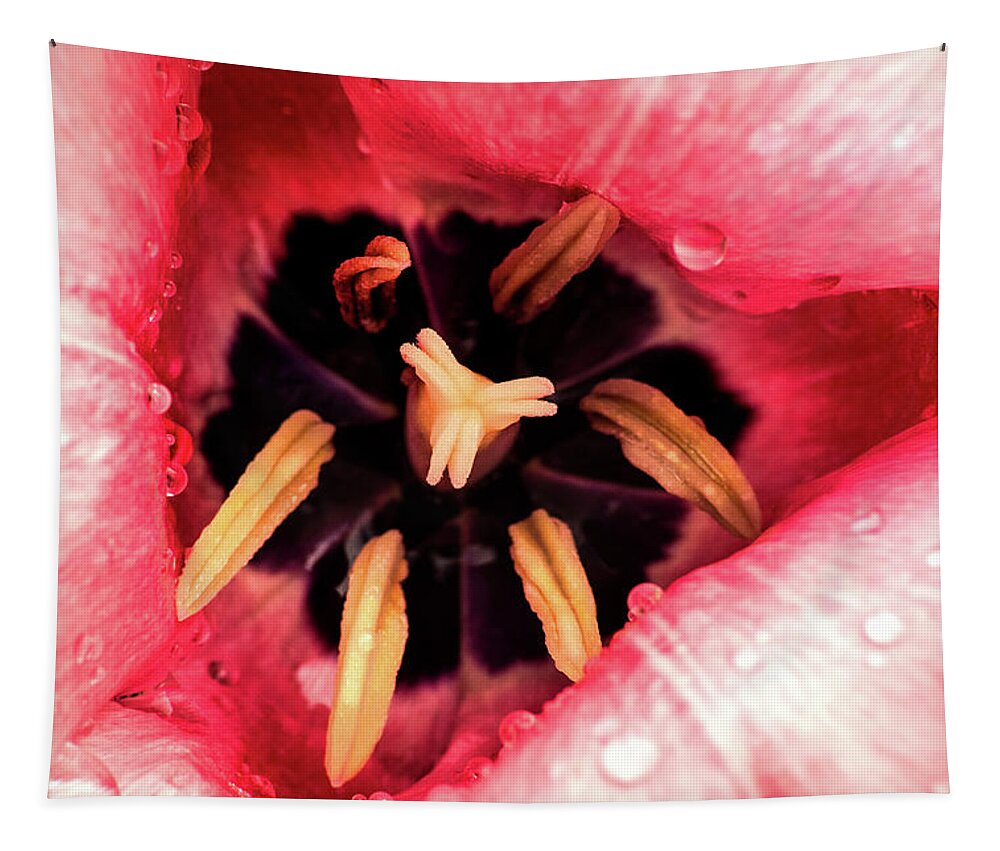 Flower Tapestry featuring the photograph Inside by Don Johnson