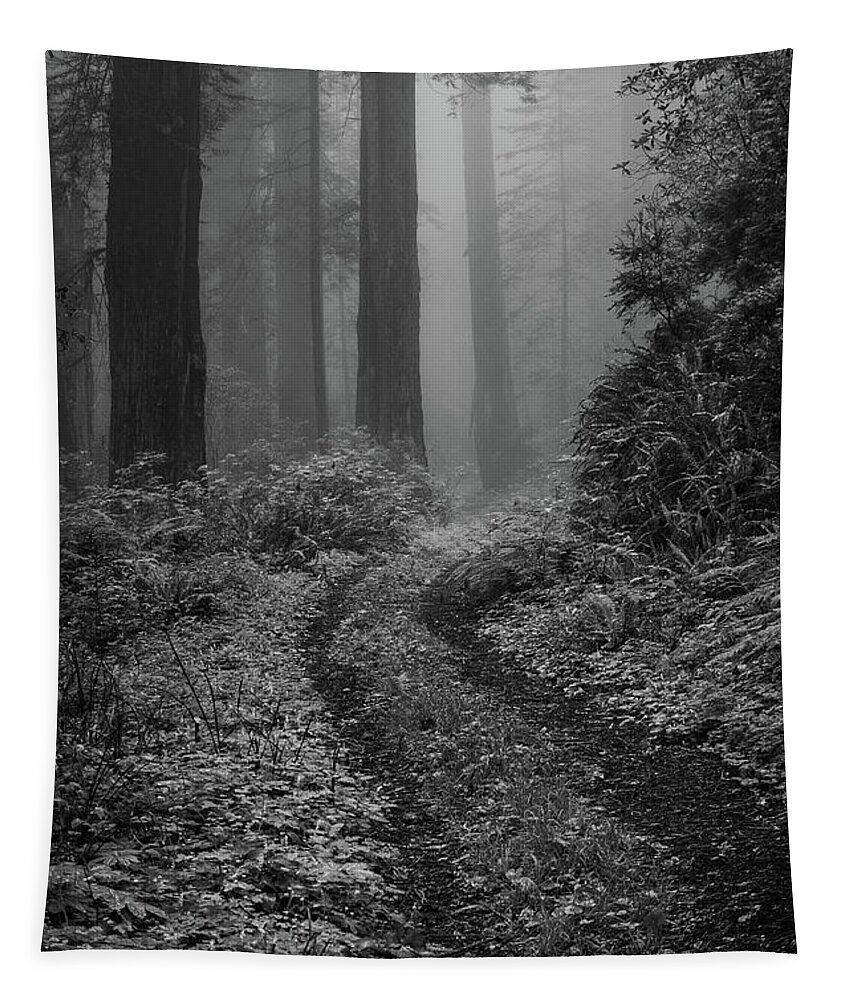 Into The Mist Tapestry featuring the photograph Into the Mist B / W by George Buxbaum