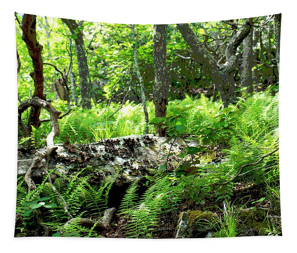 Photograph Tapestry featuring the photograph Into the Woods II Posterized by Suzanne Gaff