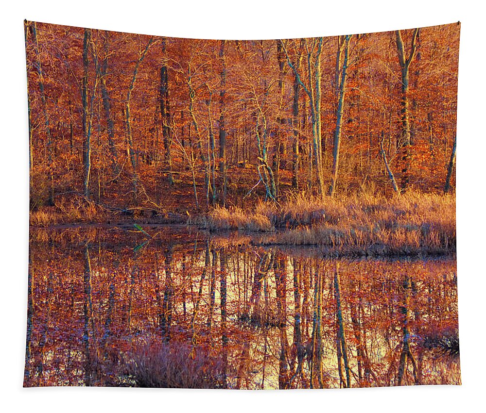 Ipswich River Wildlife Sanctuarynew England Fall Foliage Tapestry featuring the photograph Ipswich River Wildlife Sanctuary by Jeff Folger