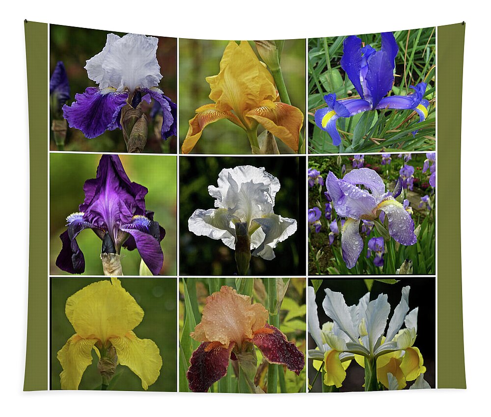 Iris Tapestry featuring the photograph Iris Collection 2019 by Richard Cummings