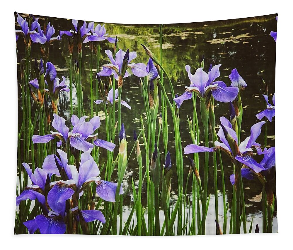 Iris Tapestry featuring the photograph Irises by Mark Egerton