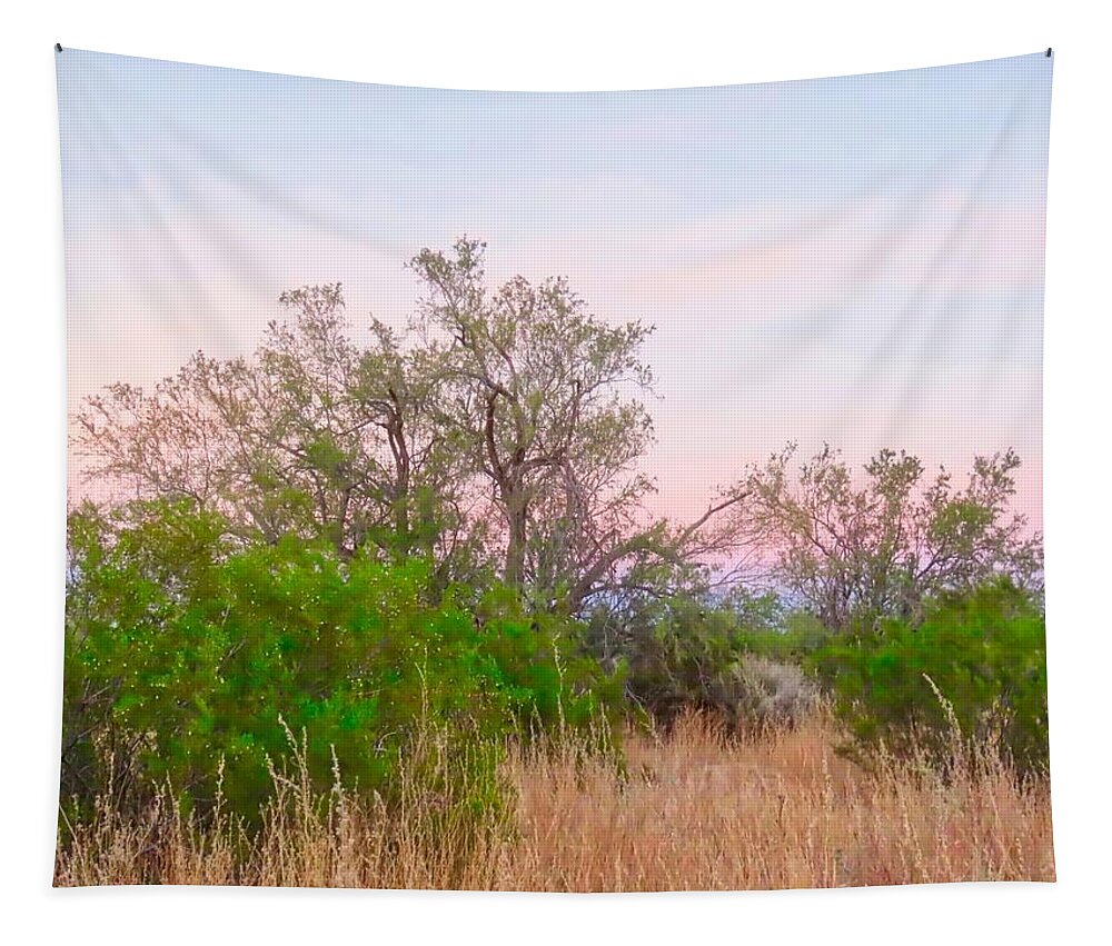 Affordable Tapestry featuring the photograph Ironwood Trees After Sundown by Judy Kennedy
