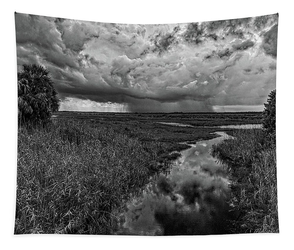 Monochrome Tapestry featuring the photograph Isolated Shower - BW by Christopher Holmes