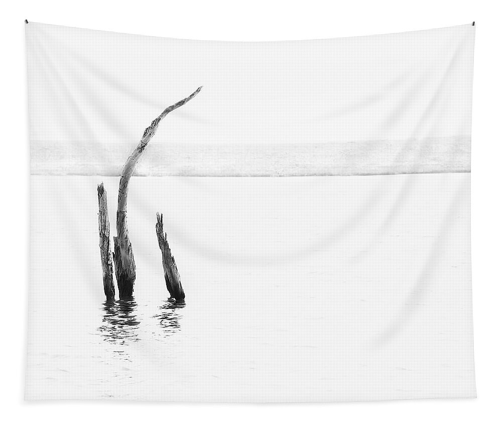 Denise Dube Tapestry featuring the photograph Isolation by Denise Dube