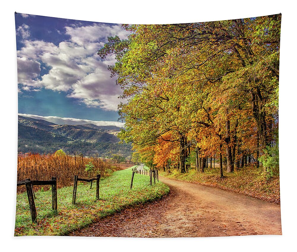 Cades Cove Tapestry featuring the photograph It's Finally Fall by Marcy Wielfaert