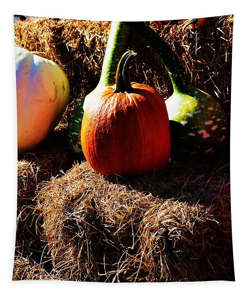 Pumpkin.pumpkins Tapestry featuring the photograph Jack O Lantern Potentials by Lesa Fine