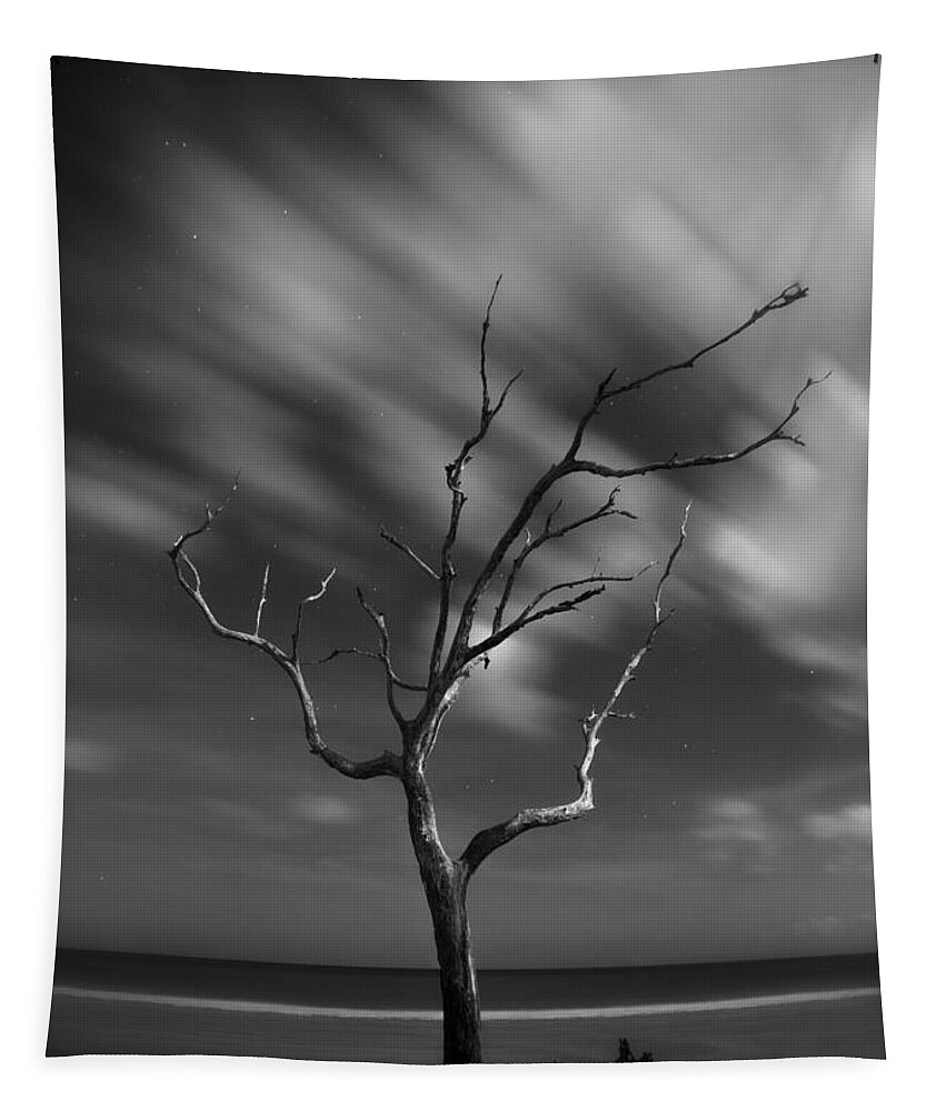 Jekyll Island Tapestry featuring the photograph Jekyll Island Midnight by Matt Hammerstein