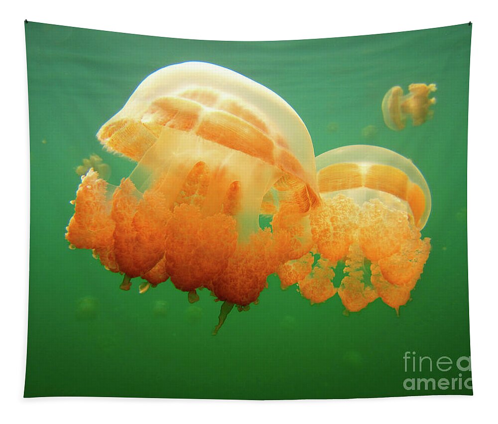 Jellyfish Tapestry featuring the photograph Jellyfish Love by Becqi Sherman